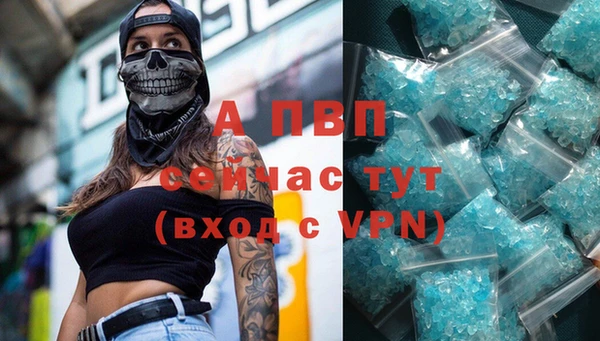 a pvp Белокуриха